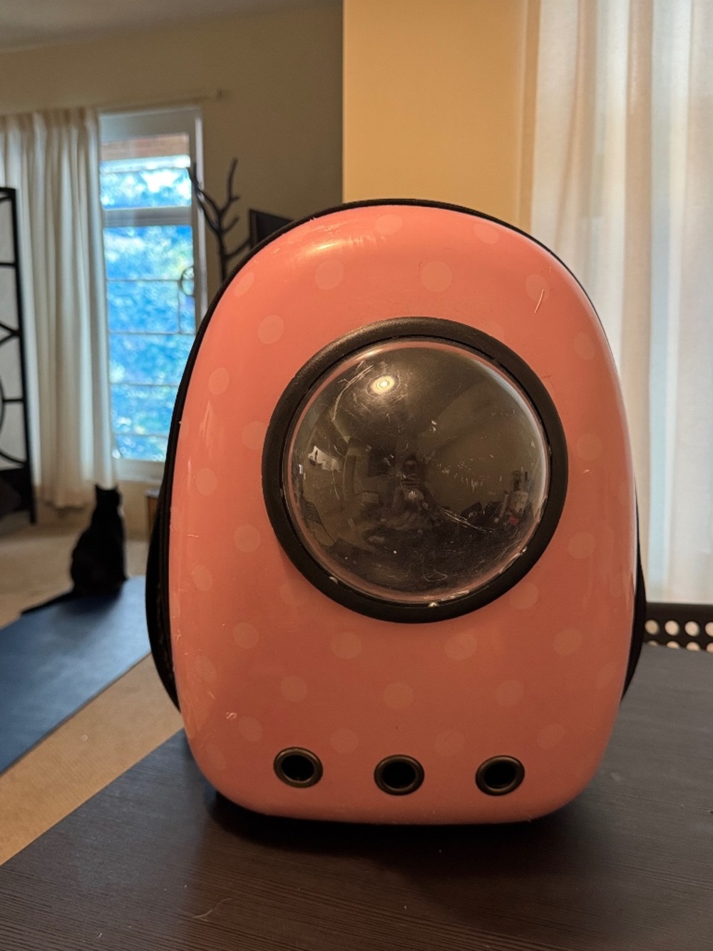 Pink Cat Traveler Backpack